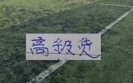 中超前15轮 各队代表球星！|阿马杜|上海海港|成都蓉城足球俱乐部|上海申花足球俱乐部|大连英博_新浪体育_新浪新闻