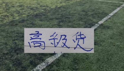 中超前15轮 各队代表球星！|阿马杜|上海海港|成都蓉城足球俱乐部|上海申花足球俱乐部|大连英博_新浪体育_新浪新闻
